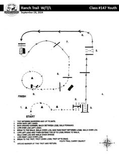 an instruction manual for how to use the switch and wire in a football game, with instructions