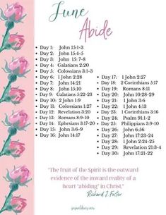 a pink and white poster with flowers on it that says june bible appidence