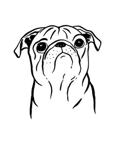 a black and white drawing of a pug's face, with one eye open