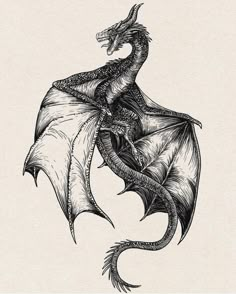 a black and white drawing of a dragon with wings spread out, sitting on its hind legs