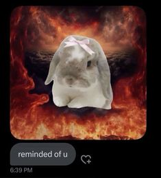 a white bunny sitting in front of a fire with the caption, i'm not dead