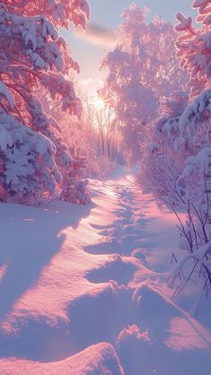 the sun shines brightly through the trees and snow covered ground in this winter scene