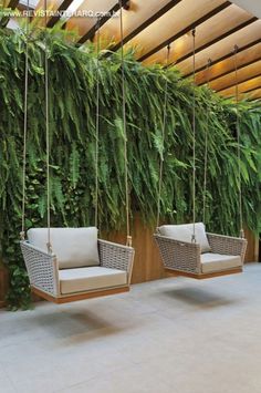 two hanging chairs in front of a green wall with plants growing on the walls behind them