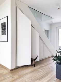 a cat is hiding in the corner of a room next to a plant and window