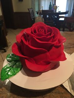 a red rose sitting on top of a white plate