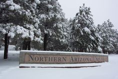 there is a sign that says northern arizona university in front of some snow covered trees