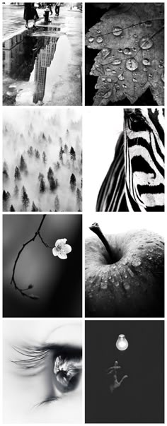 black and white images with different colors