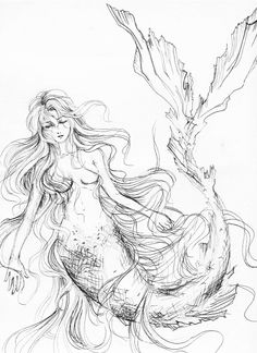 a pencil drawing of a mermaid sitting on top of a tree branch with her hair blowing in the wind