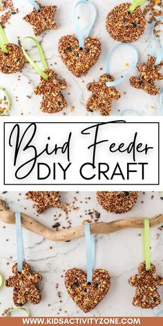 birdsfeeder diy craft made with bird seed hearts and ribbons on a white background