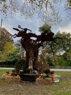 a large tree that is in the middle of a field with hay bales and pumpkins