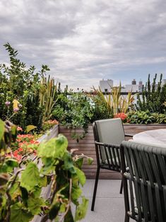 two chairs sitting on top of a wooden deck next to potted plants and greenery