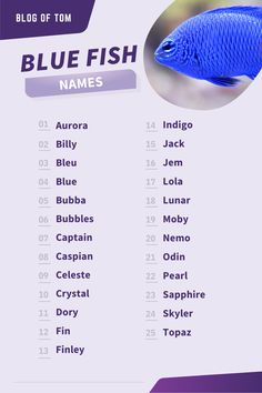 the blue fish name list is shown