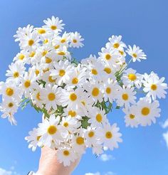 a person's hand holding a bouquet of daisies in the air against a blue sky