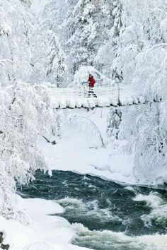 a person walking across a bridge over a river in the snow with trees on either side