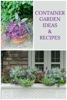 some plants and flowers in pots on a window sill with the words container garden ideas and