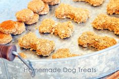 homemade dog treats sitting in a metal pan