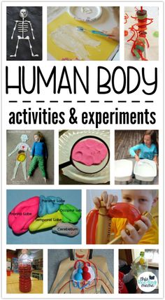 Human Body Homeschool, Human Body Projects, Experiments For Kids, Human Body Systems