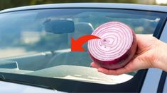 a person holding an onion in front of a car