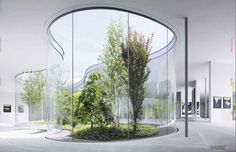 a circular room with glass walls and trees in the center, surrounded by concrete flooring