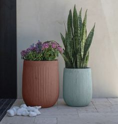 two potted plants sitting next to each other on a tile floor in front of a white wall