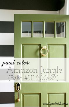 a green door with the words paint color an amazon jungle bar