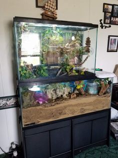 a fish tank filled with lots of plants and rocks in the middle of a living room