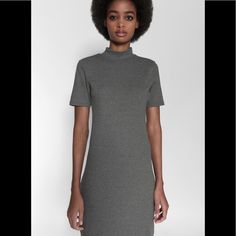 Grey Midi Dress From Zara Nwt Size L Zara Grey Dress, Gray Fitted Short Sleeve Maxi Dress, Spring Classic High Neck Dress, Classic High Neck Spring Dresses, Casual Fitted Maxi Dress With High Neck, Classic Stretch Spring Midi Dress, Classic Stretch Midi Dress For Spring, Classic Spring Bodycon Dress, Classic Spring Midi Dress With Stretch