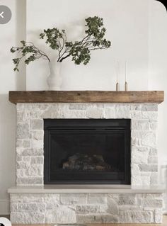 a white fireplace with a potted plant sitting on top of it's mantle