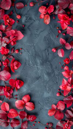 red flowers and leaves are arranged on a gray background with a place for the text