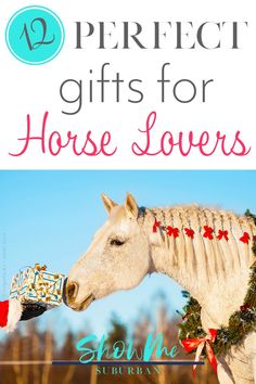 a white horse wearing a christmas wreath with the words perfect gifts for horse lovers