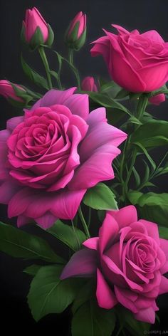 Good Morning Beautiful Roses Flowers, Beautiful Roses Flowers, Purple Roses Wallpaper, Very Beautiful Flowers, Large Flower Arrangements, Rose Bushes, Good Morning Flowers Quotes, Beautiful Angels Pictures, Beautiful Pink Roses