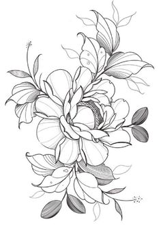 a black and white drawing of flowers with leaves on the bottom half of their petals