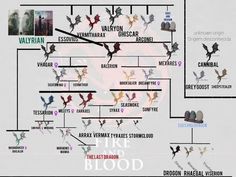 a map with different types of blood and other things in the world that are labeled