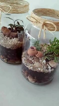 two glass jars filled with plants and rocks