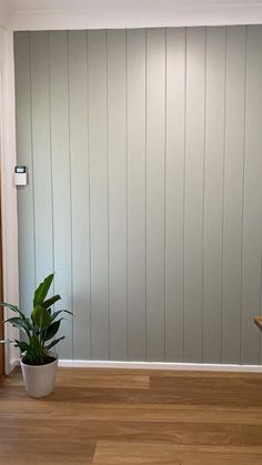 an empty room with a potted plant on the floor next to a wooden door