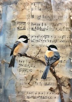 two birds are perched on a branch with music sheets in the backgroung