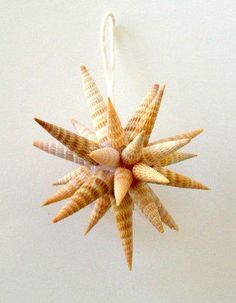 a starfish ornament hanging on a white wall