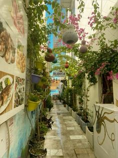 an alley way with potted plants hanging from the ceiling and paintings on the walls