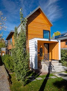 a modern home with wood siding and white trim on the front door, stairs leading up to it