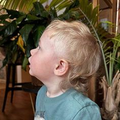 27 Coolest Long Haircuts for Boys of 2024 Infant Mullet Haircut, Boys First Haircut Ideas, Toddler Surfer Haircut, Toddler Boy First Haircut Fine Hair, Haircuts For 2 Year Boys, Toddler First Haircut Boys, Toddler Mullet Boy Curly, Toddler Bowl Cut, Boys Mullet Haircut Kids Straight Hair