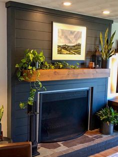 a living room with a fireplace and potted plants on the mantel above it