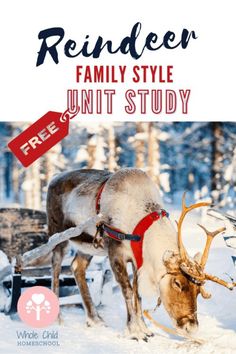 a reindeer pulling a sleigh in the snow with text reading reindeer family style unit study