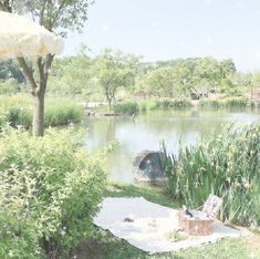 there is a picnic table next to the pond with an umbrella over it and some chairs