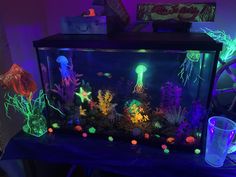 an aquarium filled with jellyfish and other marine life