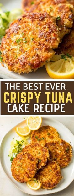 the best tuna fish cake recipe