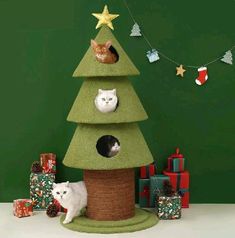 two cats are sitting on top of a christmas tree