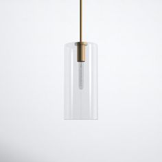 a clear glass and brass pendant light hanging from a ceiling fixture on a white wall