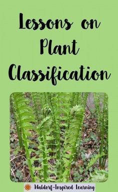 the cover of lessons on plant classification