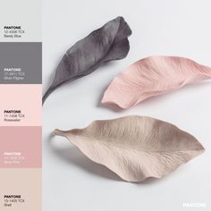 three different shades of pink, grey and white leaves on a white background with the text pantone