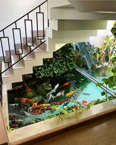 a fish pond in the middle of a stair case next to a staircase leading up to a second floor